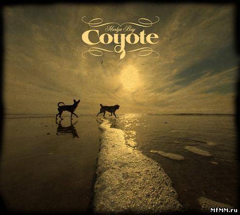 Coyote - Harlyn bay (2009)