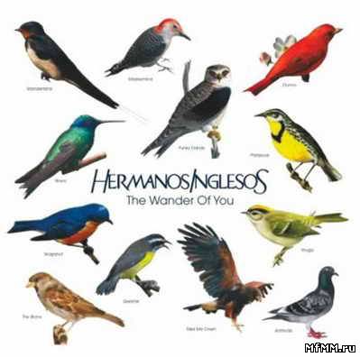 Hermanos Inglesos - The Wonder Of You