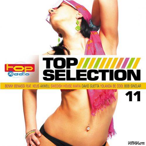 VA - Topselection 11 (2010)