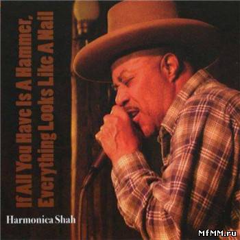 Harmonica Shah - If All You Have Is A Hammer (2009)