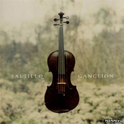 Saltillo - Ganglion (2006) FLAC