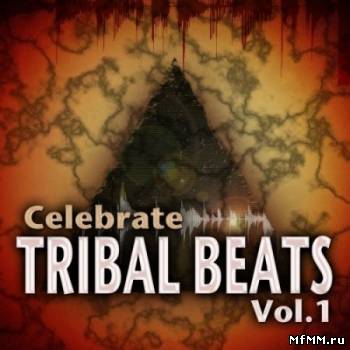 VA-Celebrate Tribal Beats Volume 1 (2010)