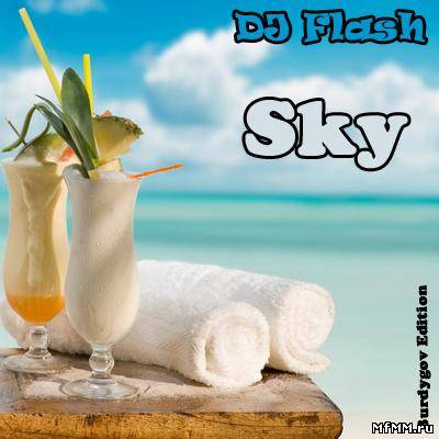 VA - DJ Flash Sky (2010)