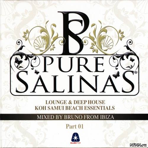 VA - Pure Salinas (2009)FLAC/MP3