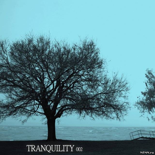 VA - Tranquility 002 (2011)