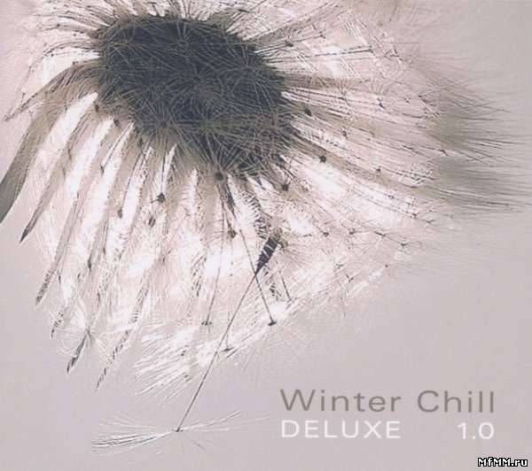 VA - Winter Chill Deluxe 1.0