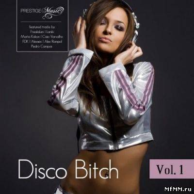 Disco Bitch vol.1