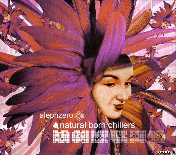 VA - Natural Born Chillers (2004)