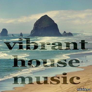 VA - Vibrant House Music (Deeper Minitech Compilation) (2011)