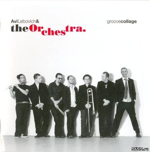 Avi Lebovich & The Orchestra - Groove Collage (2008) FLAC/ MP3