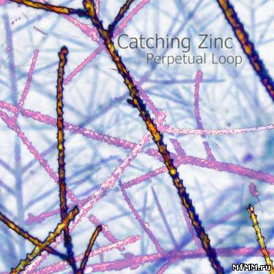 Perpetual Loop - Catching Zinc (2009)