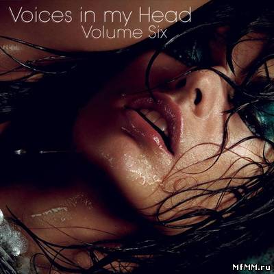 Voices in my Head Volume 6 (2011)