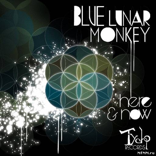 Blue Lunar Monkey - Here & Now (2011)