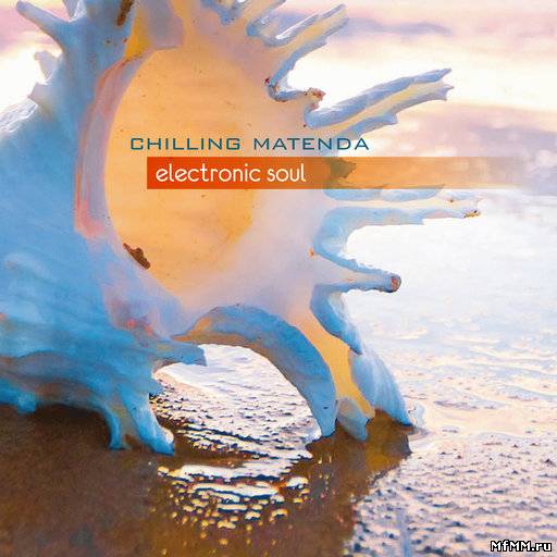 Chilling Matenda - Electronic Soul (2011)