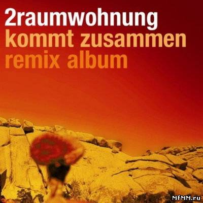 2Raumwohnung - Kommt Zusammen [Remix Album] (2007)