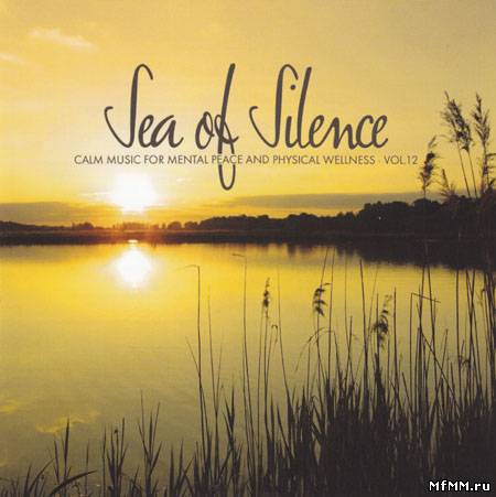 VA - Sea Of Silence Vol 12 (2011)