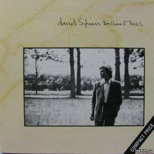 David Sylvian - Brilliant Trees (1984)