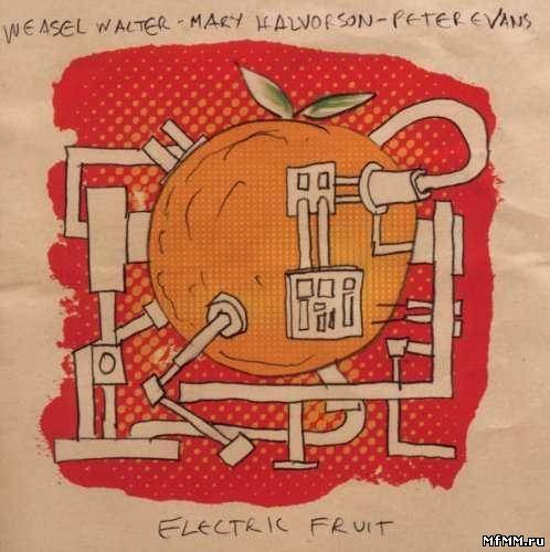 Weasel Walter, Mary Halvorson, Peter Evans - Electric Fruit (2011)