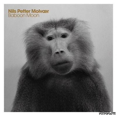 Nils Petter Molvaer - Baboon Moon (2011)