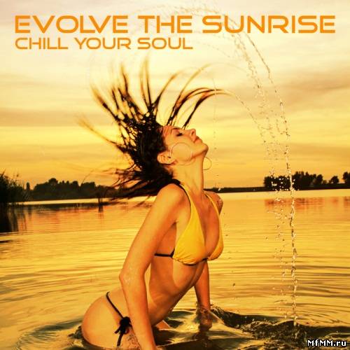 VA - Evolve The Sunrise - Chill Your Soul (2011)