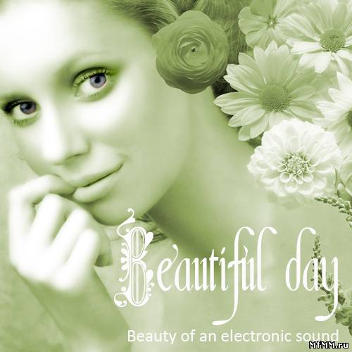 VA - Beautiful Day (2011)