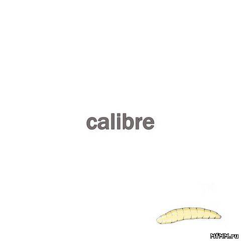 Calibre - Condition(2011)