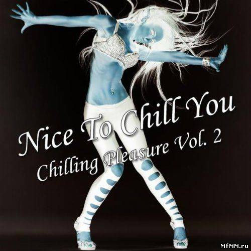 VA - Nice To Chill You Vol. 2 2011