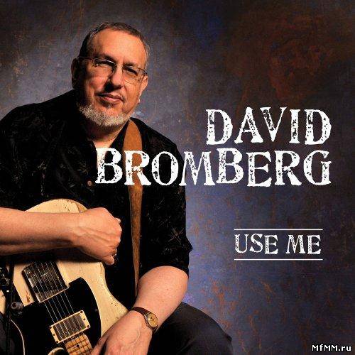 David Bromberg - Use Me (2011)