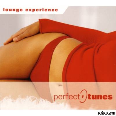 VA - Lounge Experience:Perfect-Tunes (2007)