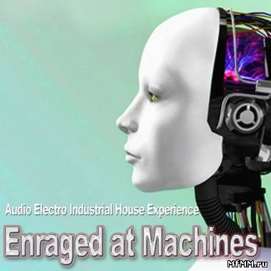 Enraged At Machines - Audio Electro Industrial House Experience (2011)