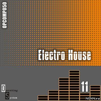 Electro House 11 (2011)