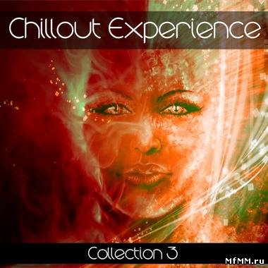 VA - Chillout Experience Collection Vol.3 (2011)