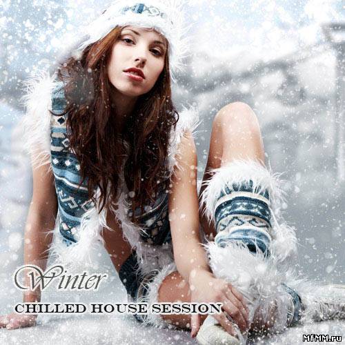 VA - Winter Chilled House Session (2011)