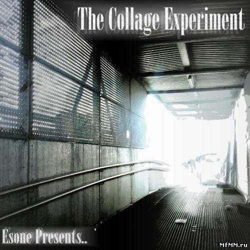 Esone - The Collage Experiment Vol.1(2011)