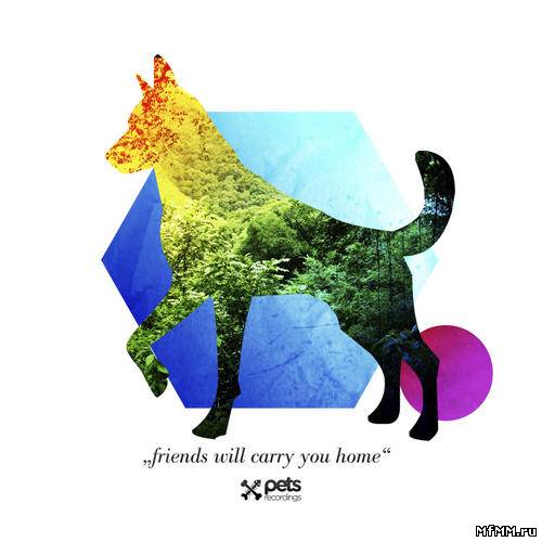 VA - Friends Will Carry You Home (by SLG) (2011)