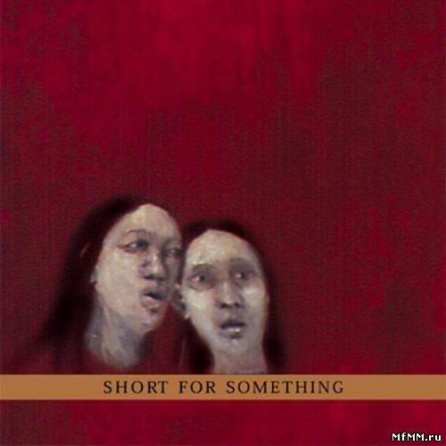 New Klezmer Trio - Short For Something (2000)