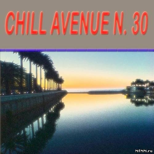 VA - Chill Avenue, 30 (2011)