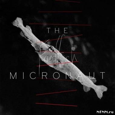 The Micronaut - Friedfisch (2012)