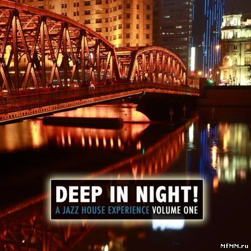 VA - Deep in the Night! A Jazz House Experience (2011)