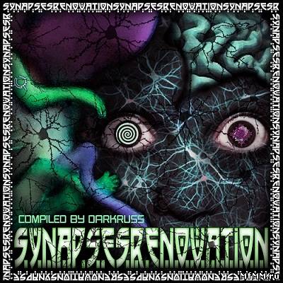 Synapses Renovation (2012)