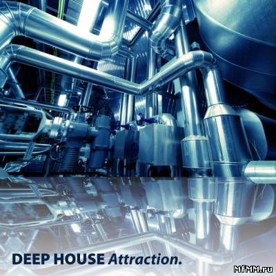 VA - Deep House Attraction (2011)