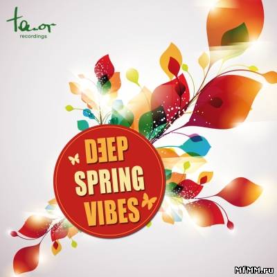 VA - Deep Spring Vibes (2012)