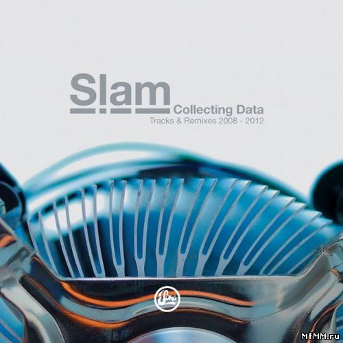 Collecting Data: Tracks & Remixes 2008-2012 (2012)