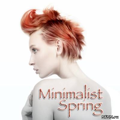 VA - Minimalist Spring (2012)