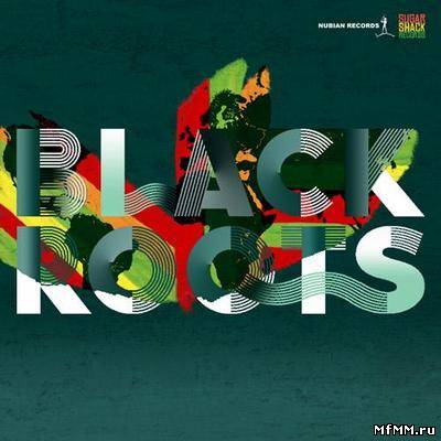 Black Roots - On The Ground (2012)