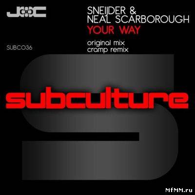 Sneijder & Neal Scarborough - Your Way