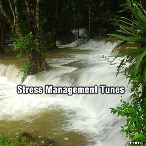 Stress Management Tunes (2012)