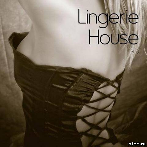 VA - Lingerie House Vol.3 (2012)