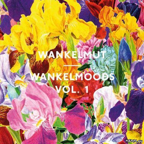 VA - Wankelmut Wankelmoods Vol.1 (2012)