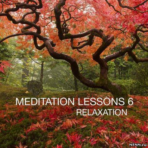 VA - Meditation Lesson Vol.6 - Relaxation (2012)